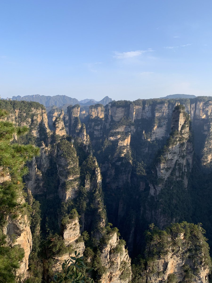 Jenny Yee (blueberrymonk) Twitter