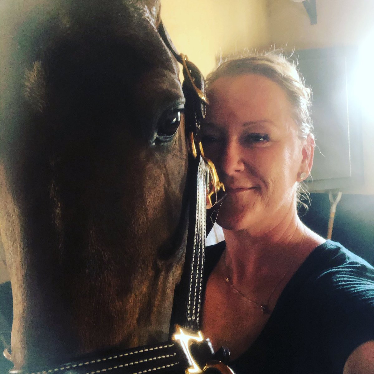 Olympic Imothep and owner Vicky sharing the love of retirement. He’s the King of Hyperion Stud and we’re so happy to have him home. #olympicstallion #hyperionstudusa #hyperionstudstallions #theking