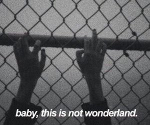 Liking this post gives me permission to interact with your character through storylines or banter 💙