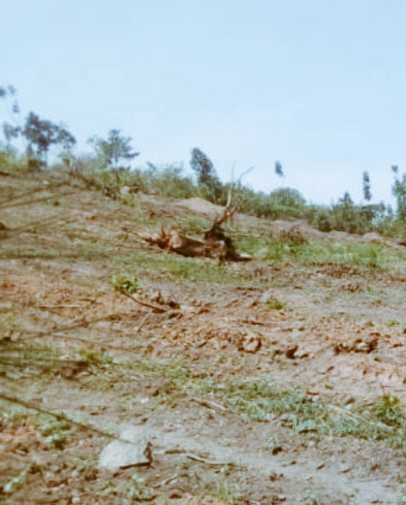 butchaks's tweet photo. Plots For Sale
Gayaza_Kiwenda
50X100
Ugx15,000,000
Call/whatsap
+256 753004364
mpindirp500@gmail.com
#plotsForSaleInGayaza #affordablelandInUganda #KampalaPlotsForSale #realestateUganda #mpindiRealtyProperties #MRP
#Gayaza_Kiwenda https://t.co/g7U4YvyziJ