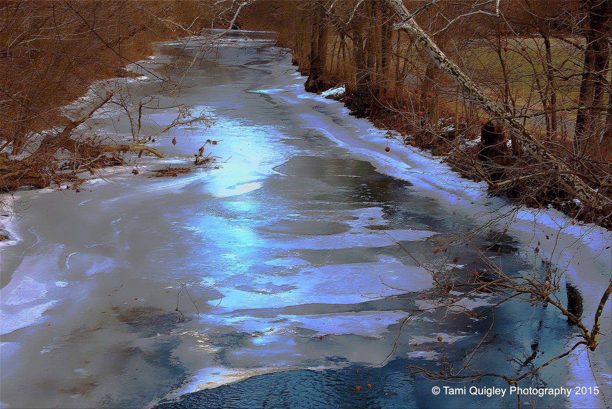 #Art of #Nature #ArtGallery tami-quigley.pixels.com/collections/th… #MondayVibes #art #Christmas #giftideas #onlineshop #ThePhotoHour #promomyshop #FineArtPrints #ImageLicensing #CanvasPrints #MetalPrint #Homedecor #LehighValley #SouthCarolina #HeartOfTheLowcountry #NJ #NYC #artprint #apparel