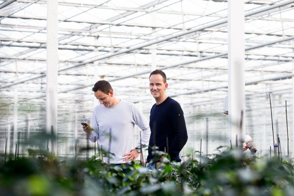 'Verrassen zit ons DNA', geven Joost en Freek van <a href="/plantanious/">Plantanious B.V.</a> aan. Ken je de Plantenbox al? Lees het bijzondere ondernemersverhaal van de tweelingbroers op buff.ly/2LwQxiq #TopTuinbouw