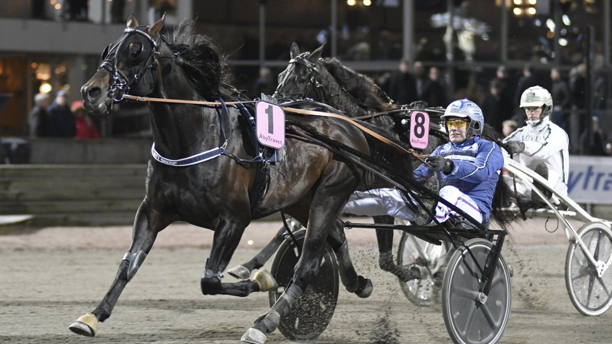 abytravet's tweet photo. Seger i Legolas Minne för Stepping Spaceboy. Adde Zukanovic tränar, Denco HB äger, Manne Börjesson sköter hästen och Stefan Söderkvist körde till seger!

Foto Sidmakarn
#åbytravet https://t.co/NiUR1buFqr