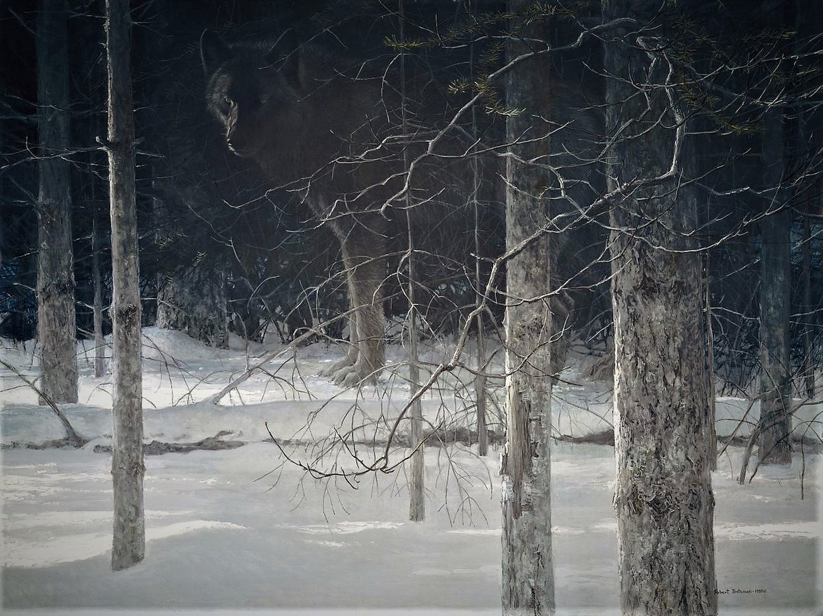 Robert Bateman, Midnight - Black Wolf