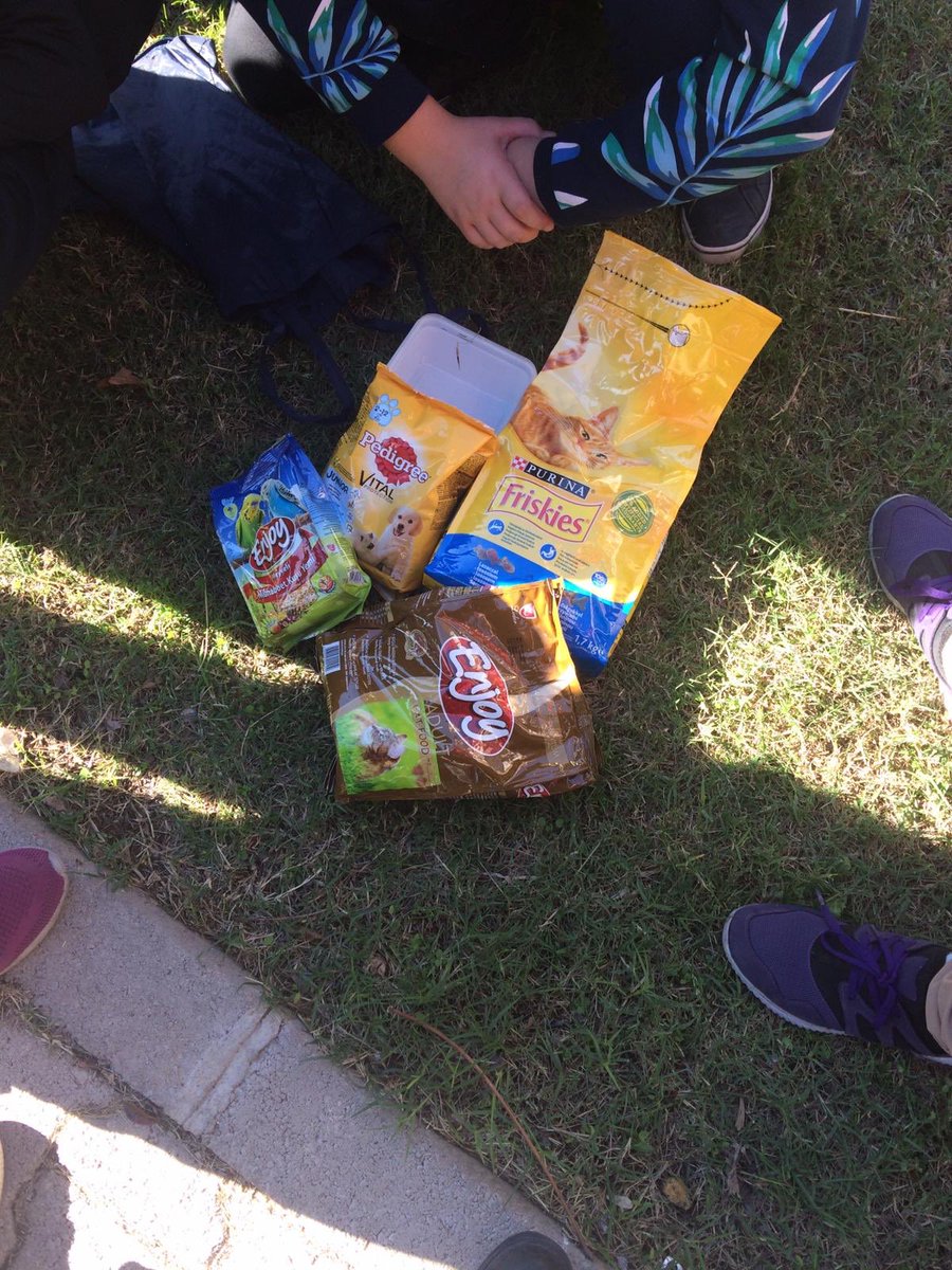 Çankaya Ortaokulu öğrencileri harçlıklarından biriktirdikleri paralarla sokak hayvanlarına mama alıp, onları elleriyle besliyorlar...<a href="/MersinMEM/">Mersin İl Millî Eğitim Müdürlüğü</a> <a href="/AdemKoca46/">Adem Koca</a> <a href="/yenisehirmem_33/">Yenişehir İlçe Milli Eğitim Müdürlüğü</a> <a href="/kamilyilmaz33/">Kamilyılmaz33</a>