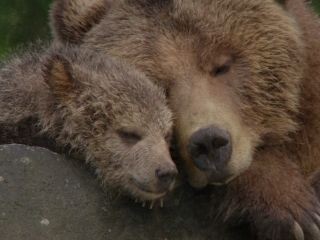 I couldn't NOT post this!