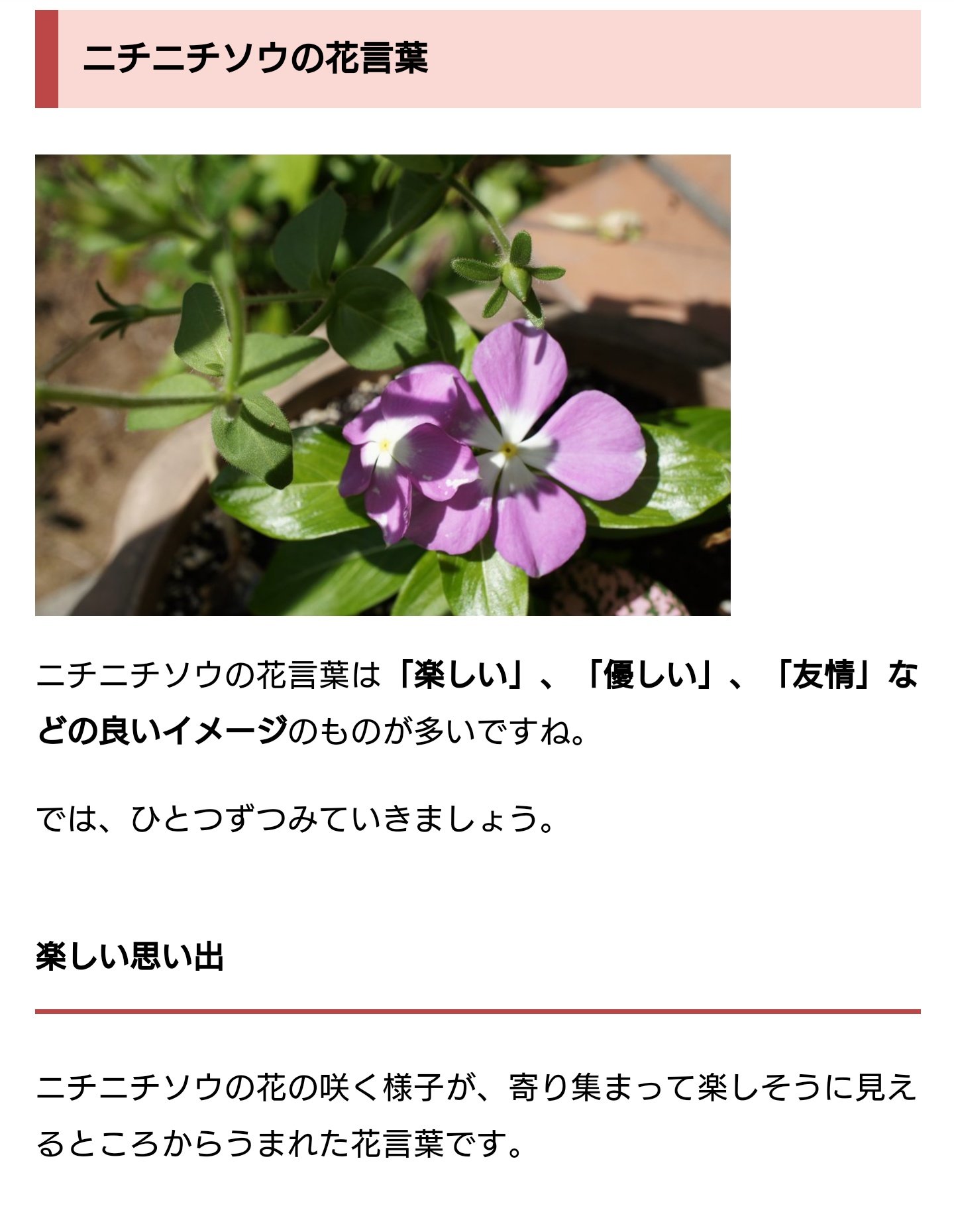 あい ニチニチソウの花言葉調べたら やさしいせかいでニッコリした でも時々死に関する薄暗さが挟まれててﾝﾝｯ 性癖 T Co A3rgbnkhrd Twitter