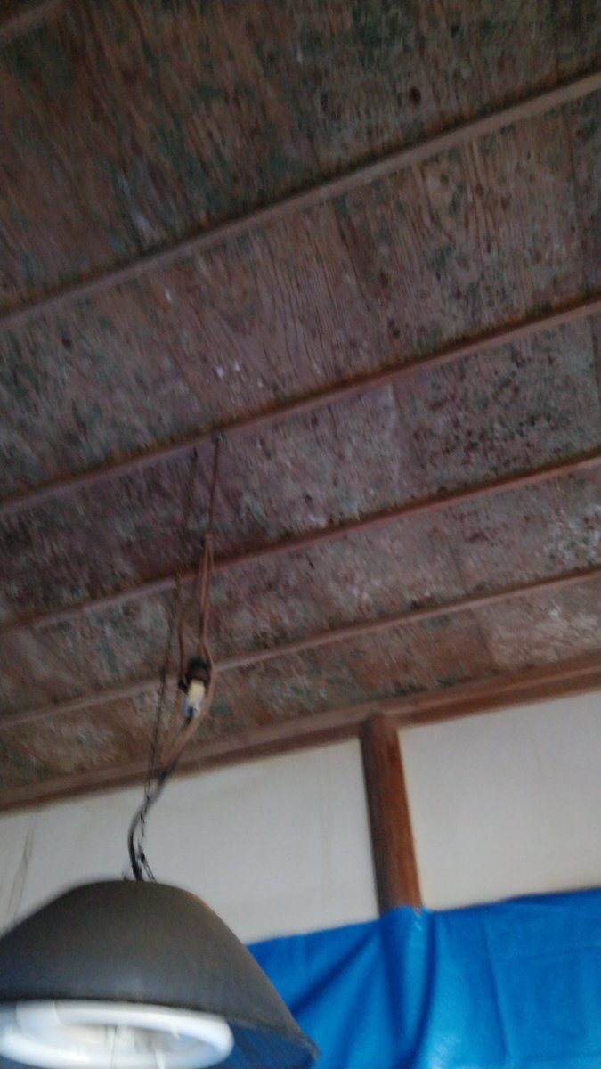 Toshi カビだらけのイナゴ天井 天井張り替え工事を致しました 綺麗になりましたね 館山は いろいろ現調してますが 和室が多いですね ようやく一部屋完了 まだまだ ありますぞ 大工の手が足りない