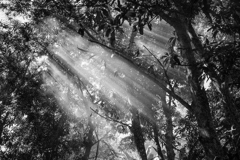 mep_paris's tweet photo. « Pleins feux sur l’âme noire de l’Amazonie, là où le bât blesse »
>> https://t.co/djRhJrHMcM
#TommasoProtti #Photographie #Amazonie #PrixCarmignac #MEPparis @lemondefr @FdnCarmignac https://t.co/AEuuFQjyiT