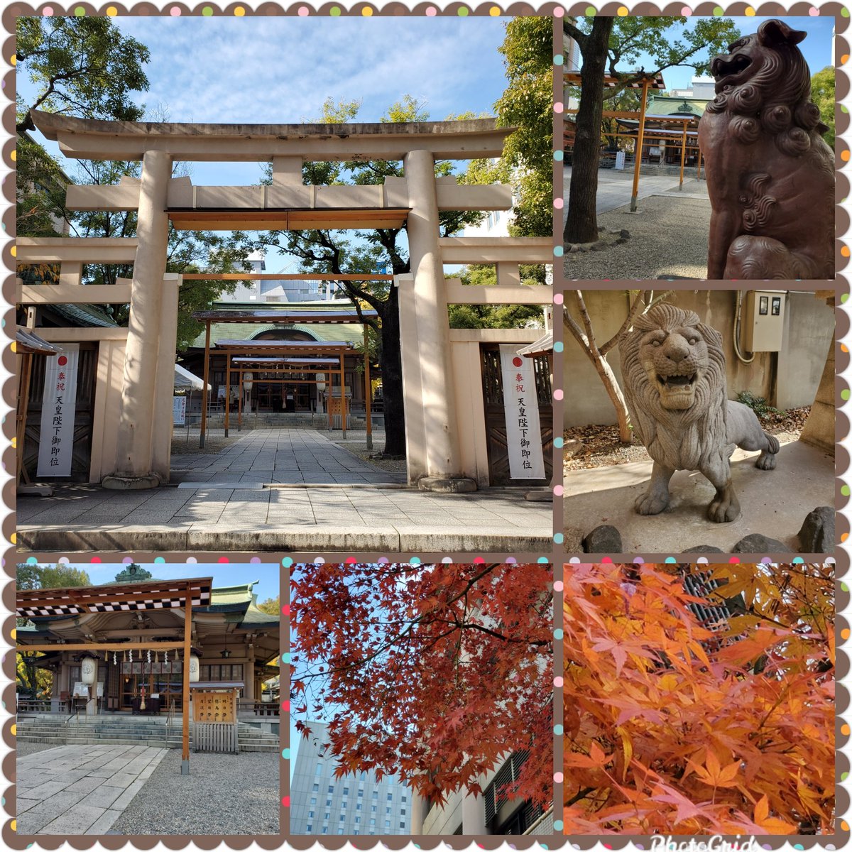 どんちゃん 昨日は 友達と大阪の一宮や生田神社へ 友達 大阪 一宮神社 生田神社 枚岡神社 大鳥神社 坐摩神社 どんちゃん 昨日は 友達と大阪の一宮や生田神社へ 友達 大阪 一宮神社 生田神社 枚岡神社 大鳥神社 坐摩神社