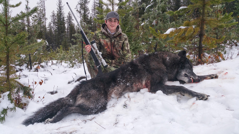 u10434731's tweet photo. -*-*-*-*-*-*- ATTENTION! -*-*-*-*-*-*-       
This project charity hopes to prevent or outright
ban the unfair killing of endangered wolves.

These animals are caring and loving, and we strive
to protect them from selfish hunters who kill for fun and entertainment.

#HelpThem https://t.co/nVMmCbTsea