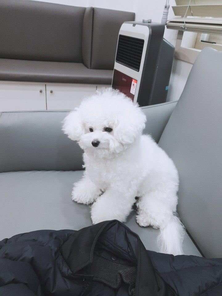 fluffy baby 💗