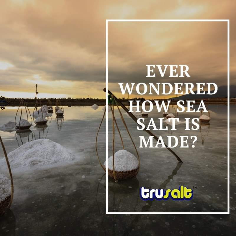 vkstrusalt's tweet photo. Sea salt is produced by evaporating seawater. Depending on the water sources one can find traces of minerals and elements in the salt. This defines the coarseness, flavour and colour of the salt.

#Salt #SeaSalt #SaltFarming #DidYouKnow #Sea #Minerals #Tuticorin #India https://t.co/1QmqqnhUj8