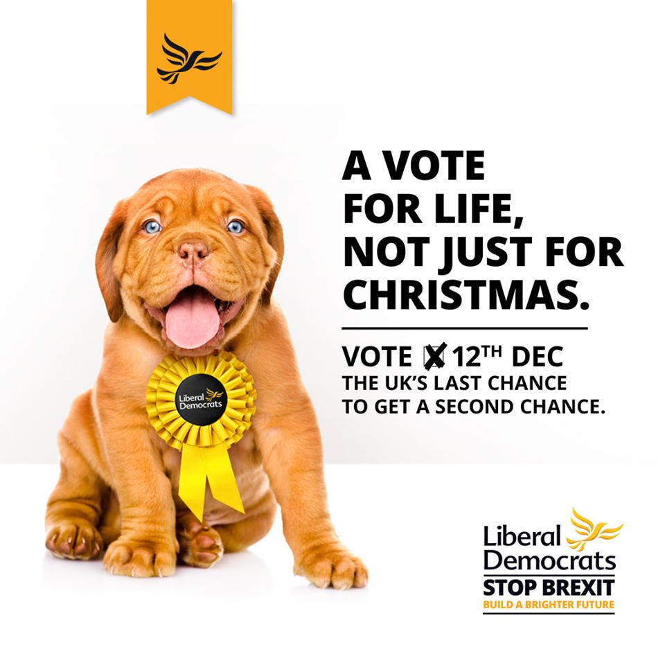 IanSollom's tweet image. Boris Johnson is lying about being able to get #Brexit done. Even he is not pretending it will be good for the UK anymore, he just wants it over with - a project he championed, campaigned for an told us all it would be good for us. Let's have a #PeoplesVote #FinalSay #GE2019