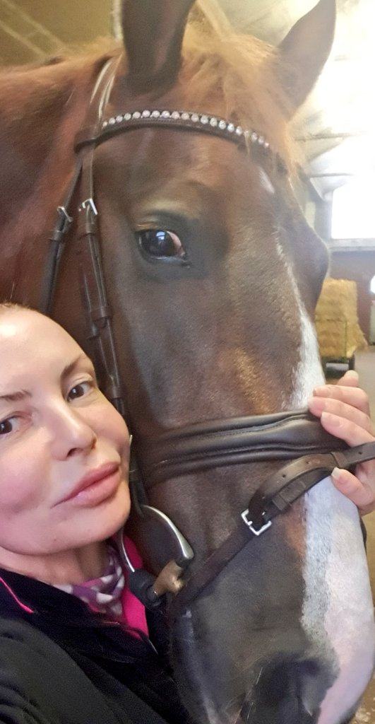 StableGossip tweet picture
