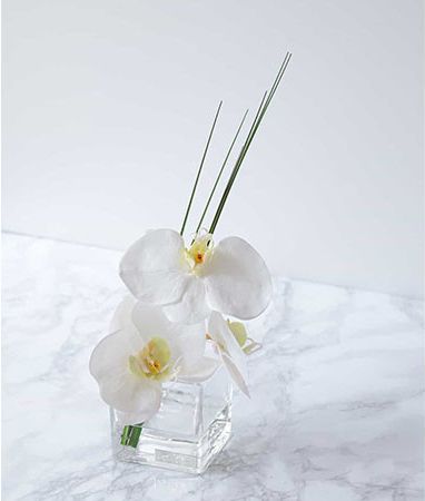 FLYMEeJP's tweet photo. ファレノプシス(胡蝶蘭)の花言葉は「清純・幸福が飛んでくる」。 白い花とリーフでまとめたすっきりとした色合いは、上品にその場の雰囲気を華やかにします。
https://t.co/XEDoxosJ9S
#EMILIOROBBA #アートフラワー #クリスマスプレゼント https://t.co/S4SF9FMtuI