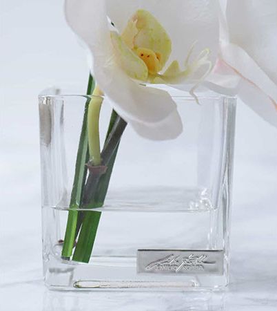 FLYMEeJP's tweet photo. ファレノプシス(胡蝶蘭)の花言葉は「清純・幸福が飛んでくる」。 白い花とリーフでまとめたすっきりとした色合いは、上品にその場の雰囲気を華やかにします。
https://t.co/XEDoxosJ9S
#EMILIOROBBA #アートフラワー #クリスマスプレゼント https://t.co/S4SF9FMtuI