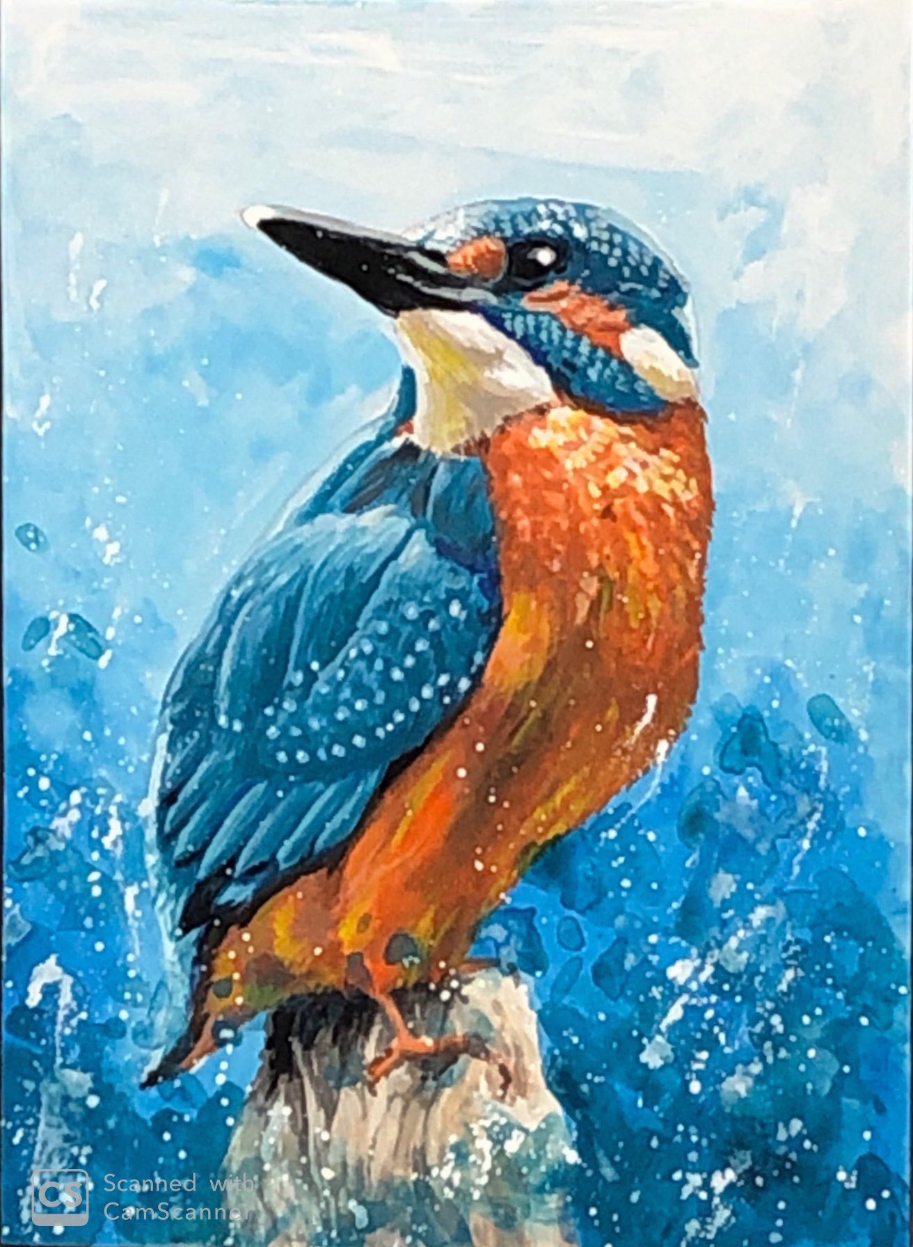 鳥 アクリル画 絵 動物