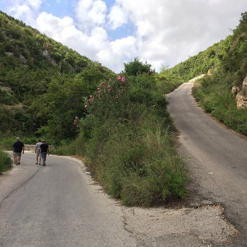 خيبات الامل من البعض .. لاتعني أننا لانستحق السّعادة ..!
بل تعني .. أن السّعادة ليست من هـذا الاتجاه .