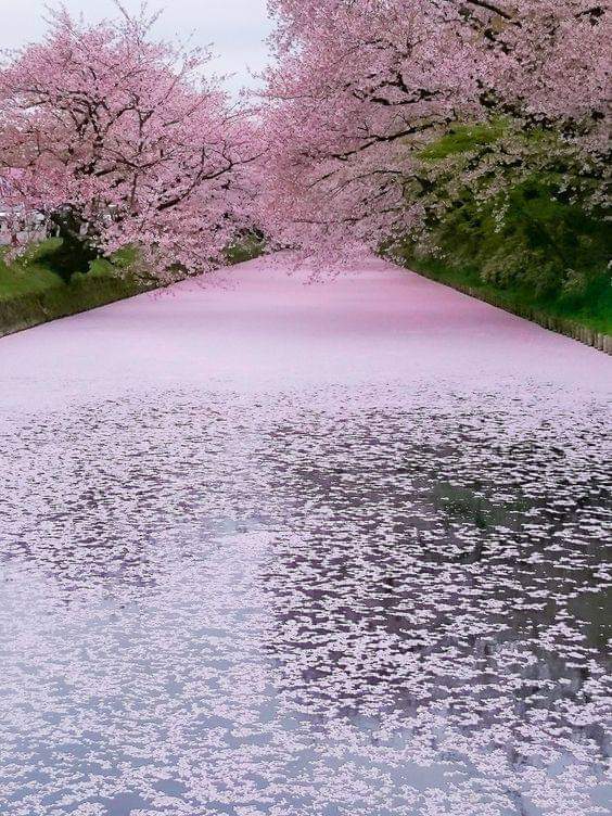 Tere (@trcas) on Twitter photo 