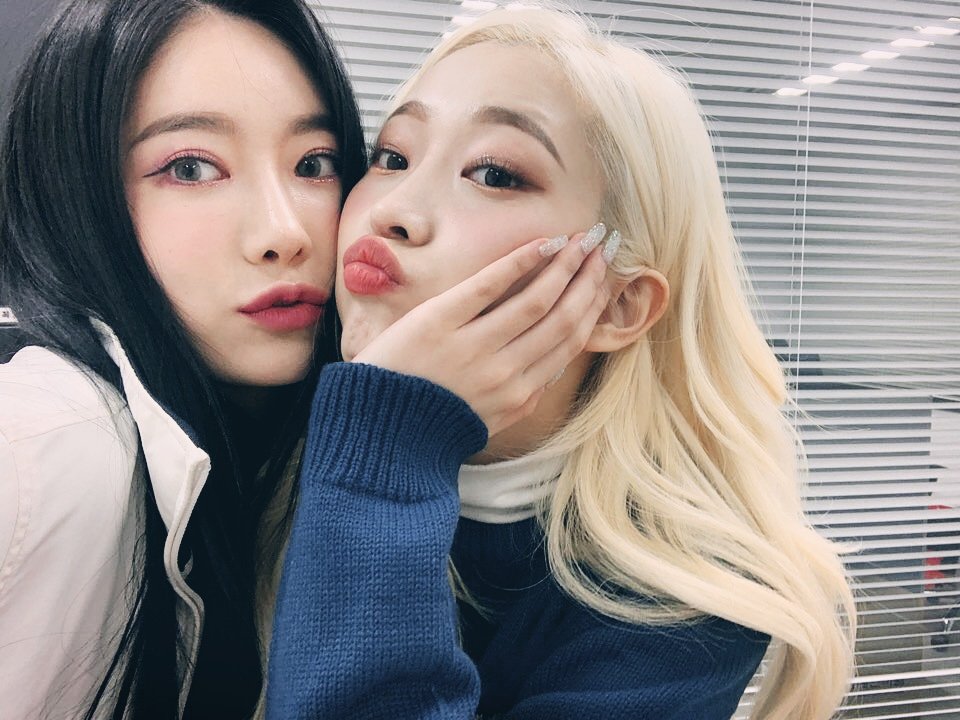 HINAPIAofficial's tweet photo. [ #은우 ]
껌이랑 같이 아돌라 나갔을 때😻
귀욥디 98즈 카파즈 https://t.co/HqGriJvldR