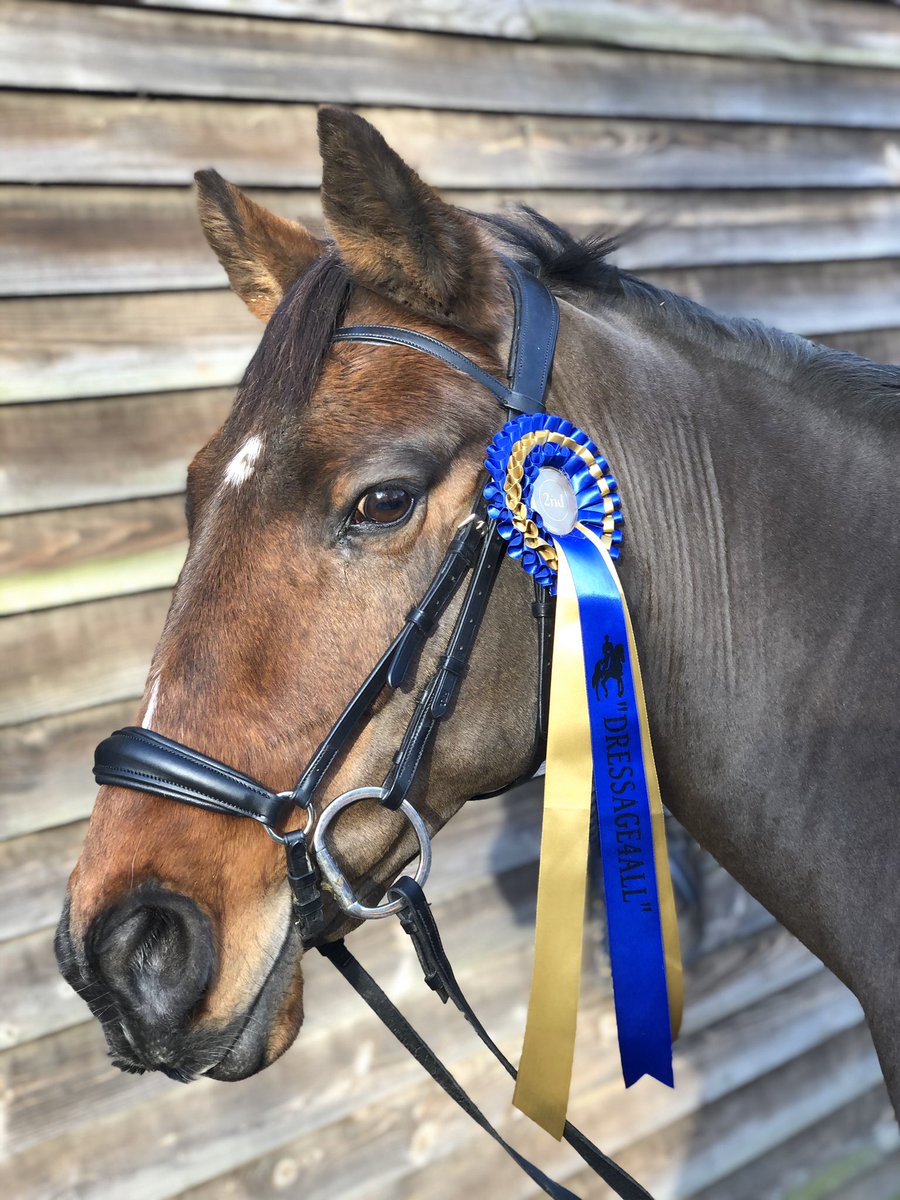 emmastevenspara's tweet photo. Our 2nd online rosette this month, this one from #dressage4all Such a clever boy! #thisisms #multiplesclerosis #paradressage #mswarrior #weareundefeatable #20isplenty #dressageanywhere #poweredbythunderbrook #msequestrian https://t.co/QSyhnsIY58