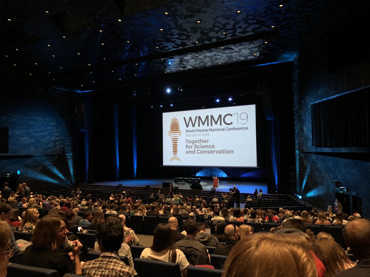 SMM Student Affairs (@smmstudents) on Twitter photo Opening Session is here!! Have a great conference, students! #WMMC19 <a href="/wmmc2019/">World Marine Mammal Conference</a> Opening Session is here!! Have a great conference, students! #WMMC19 <a href="/wmmc2019/">World Marine Mammal Conference</a>