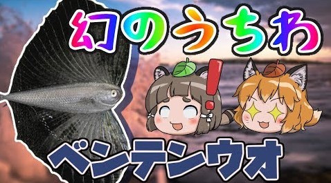 youko_rou's tweet photo. 本日21時からプレミア公開❗
へんないきものシリーズ初の魚らしい魚…❓🐟

【ゆっくり解説】幻のうちわ？巨大なヒレのベンテンウオ【へんないきもの#40】 https://t.co/SYZCCf09KH https://t.co/EVufS1Uge5