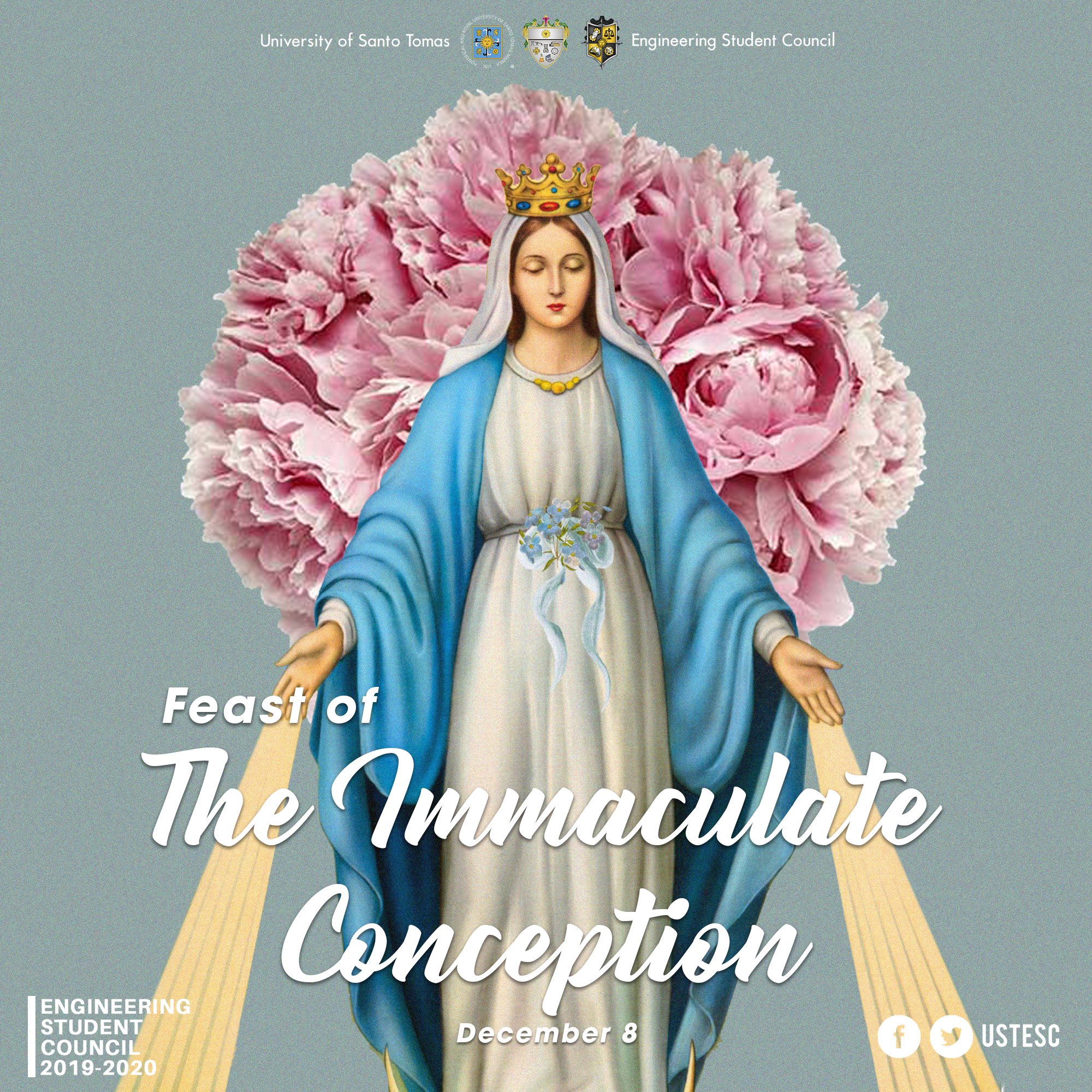 Feast of online the immaculate conception