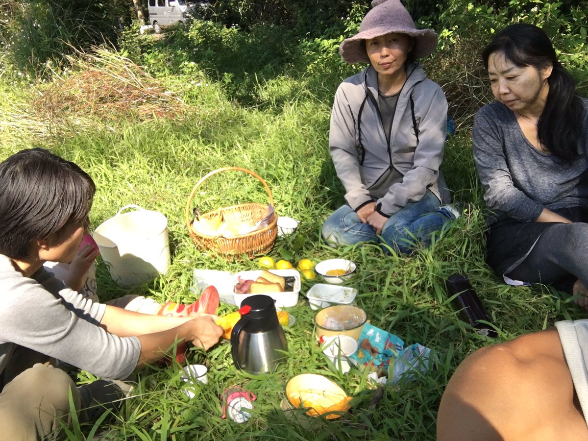 野良トゥルシー農園 ホーリーバジル 生トゥルシー の使い方 蜂蜜に漬け込む事で 生の状態で 年間保存できますので 風邪の症状が出た時に 子供さんも喜んでたべてくれて 風邪の症状に効いたりします トゥルシーの塩漬け トゥルシーの蒸留水