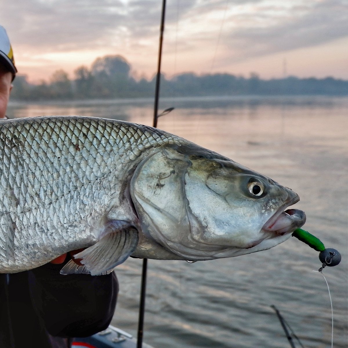 SavageGearPL's tweet photo. Jaki #kołowrotek, #multiplikator czy #wędzisko #Okuma sprawdziło się Tobie podczas łowienia boleni w roku 2019?? 🐟🎣😍 #OkumaPolska #OkumaFishing #5latGwarancji #InspiredFishing #InspirowanaDesignem #DominateWithPower #DominujSiłą #SpinningDNA #CastingDNA #boleń #bolen #asp https://t.co/daSKSM4m7c