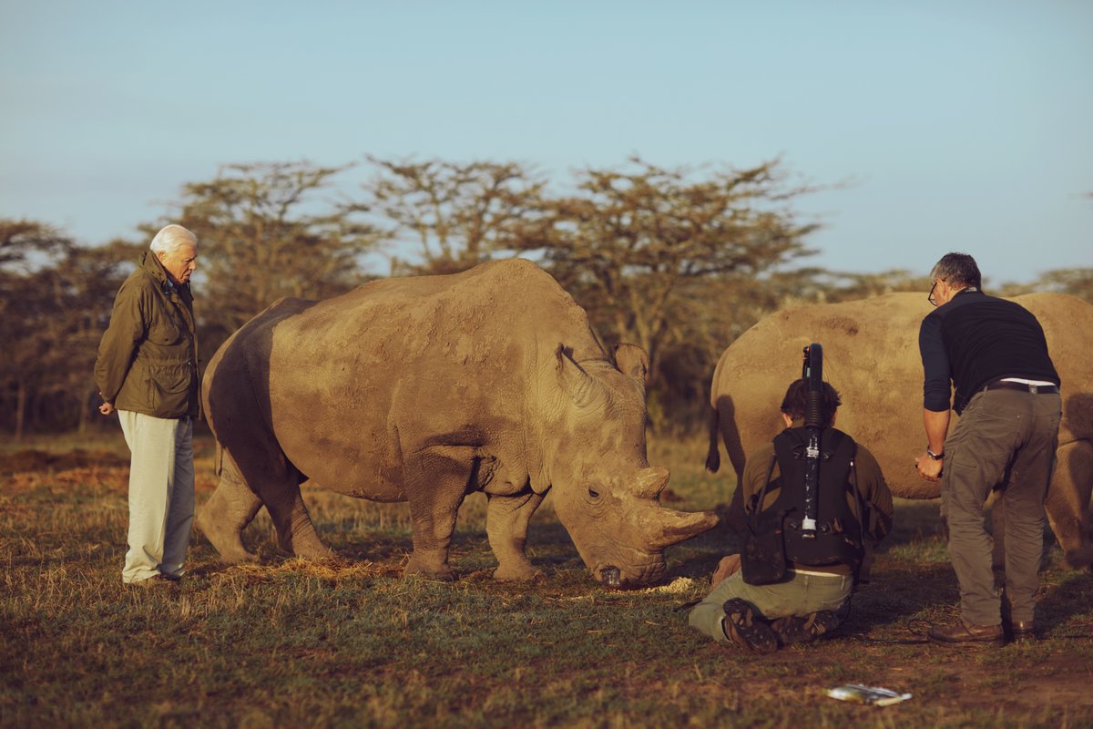 OlPejeta's tweet photo. The one and only, Sir David Attenborough on location right here at Ol Pejeta while filming for the season finale of 'Seven Worlds, One Planet'.

We hope you had a chance to watch it yesterday on BBC One. It was such an honour to be featured in this production!

#OlPejeta https://t.co/PwxLGpbWMk
