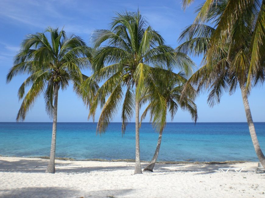 viaggiolibera's tweet photo. Natale al caldo o al freddo? Se siete a corto di idee, ecco due mete diverse ma entrambe stupende: Cuba con le sue spiagge caraibiche e le Repubbliche Baltiche. Non resta che partire, sempre muniti di assicurazione viaggio, vero @InterMundial_IT ?!
https://t.co/Wzd8k0UtQe https://t.co/H25QLnWEJ6