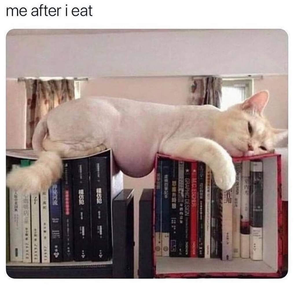 Holidays are here folks! 😂😂😂