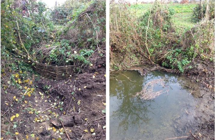 pearceenviro's tweet photo. We had to make a natural debris barrier at a culvert and this is how it looks, holding water back to 'slow the flow' and help stop flooding further down. Creating an ephemeral pond. #slowtheflow #naturalfloodbarrier #naturalengineering https://t.co/byuktu1UvT
