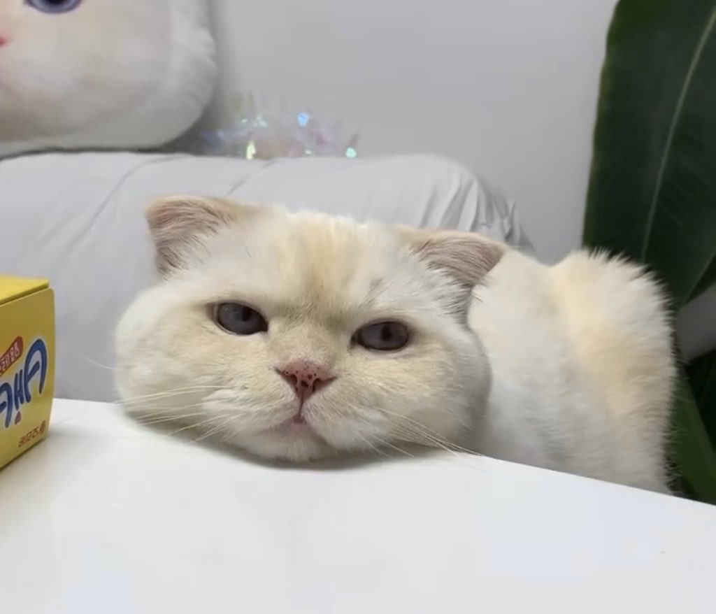 𝐧𝐞𝐫𝐝 tweet media