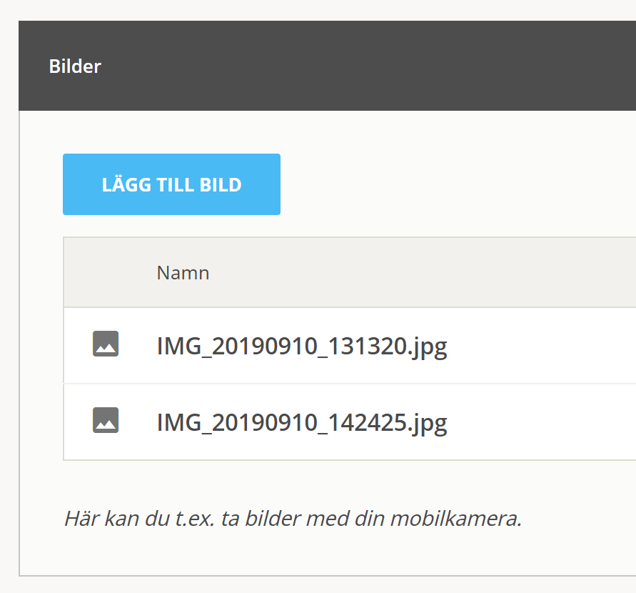 El Vis Elviselproffs Twitter