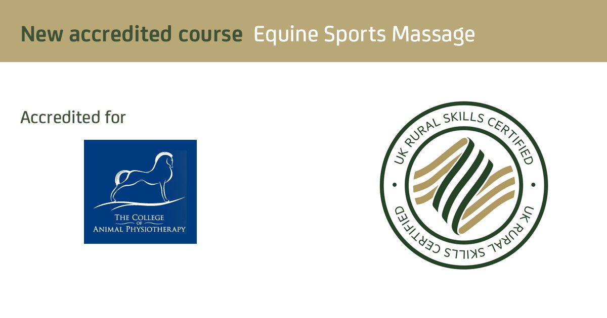 Animal Physio (@TCAnimalphysio) / Twitter Animal Physio (@TCAnimalphysio) / Twitter