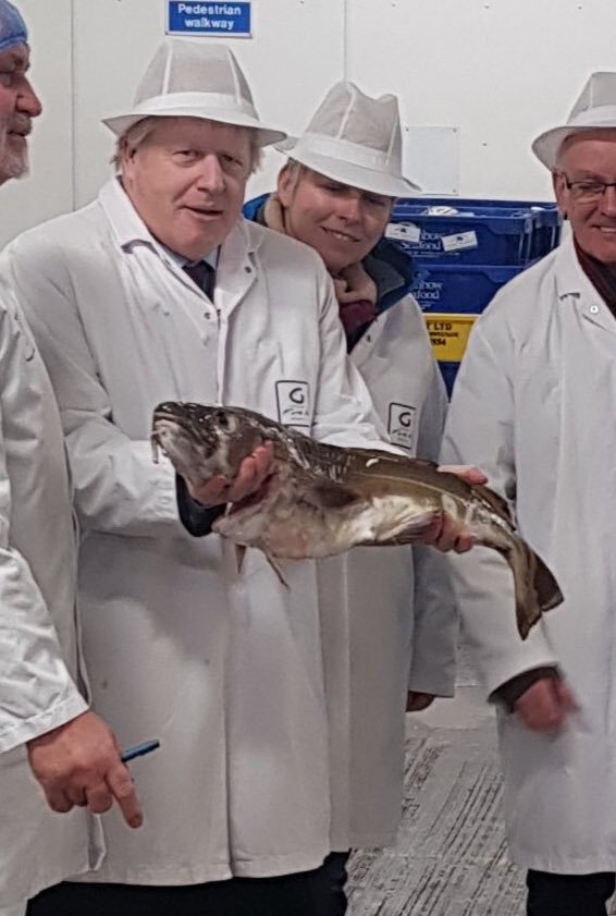 localnotail's tweet photo. Oh for cod's hake!
I've haddock enough of this pollock and his carp! I am sick of seeing this bloater flounder about and herring his lies.
It's high tide for salmon else to have the oppor-tuna-ty to lead.
#iRegretNothing #MondayPunday #FishPuns #BeAVoter https://t.co/INVMAdKXeF