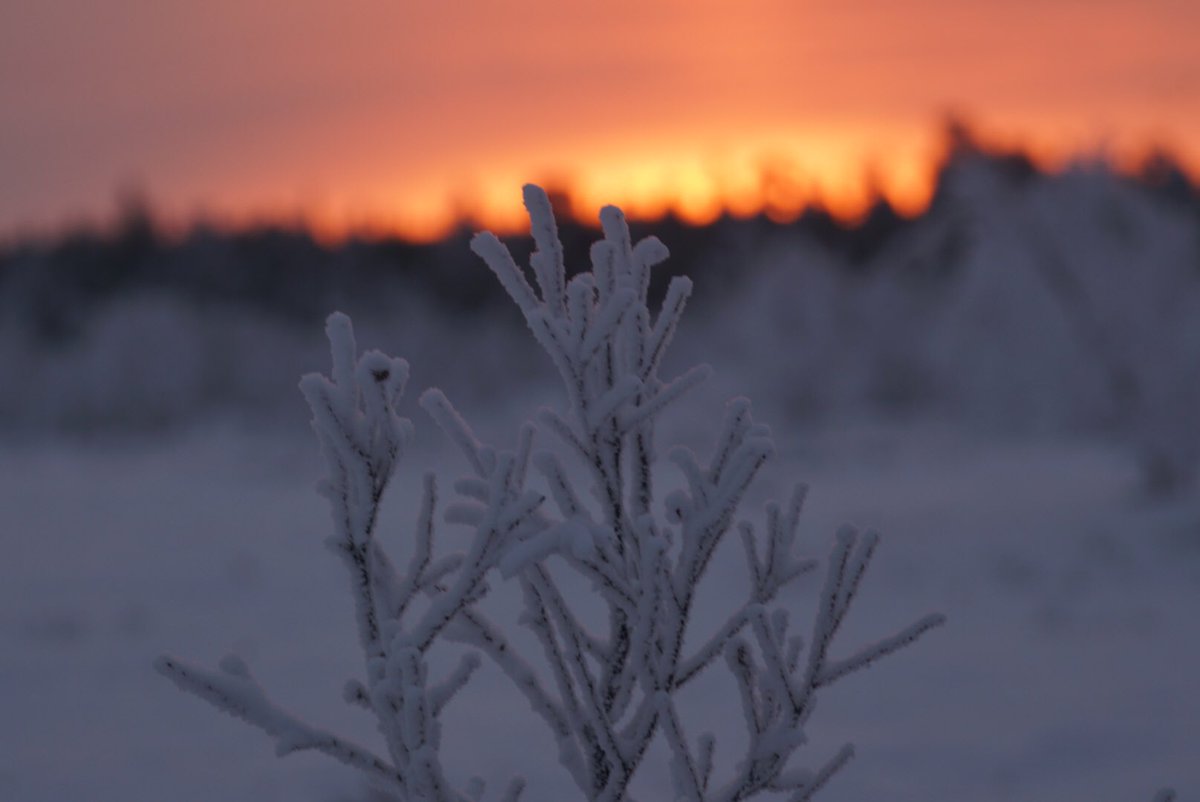 Judith Anton tweet media