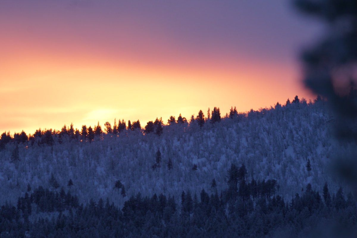 Judith Anton tweet media