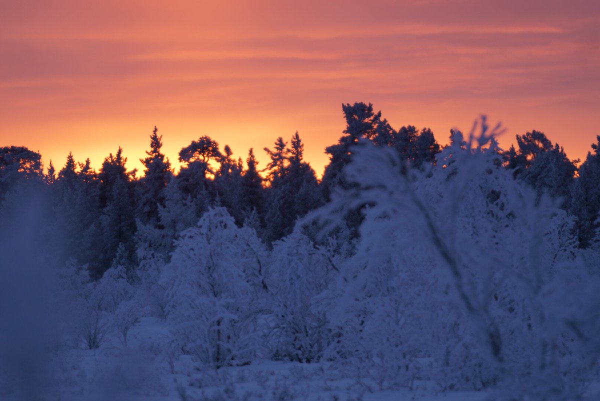 Judith Anton tweet media