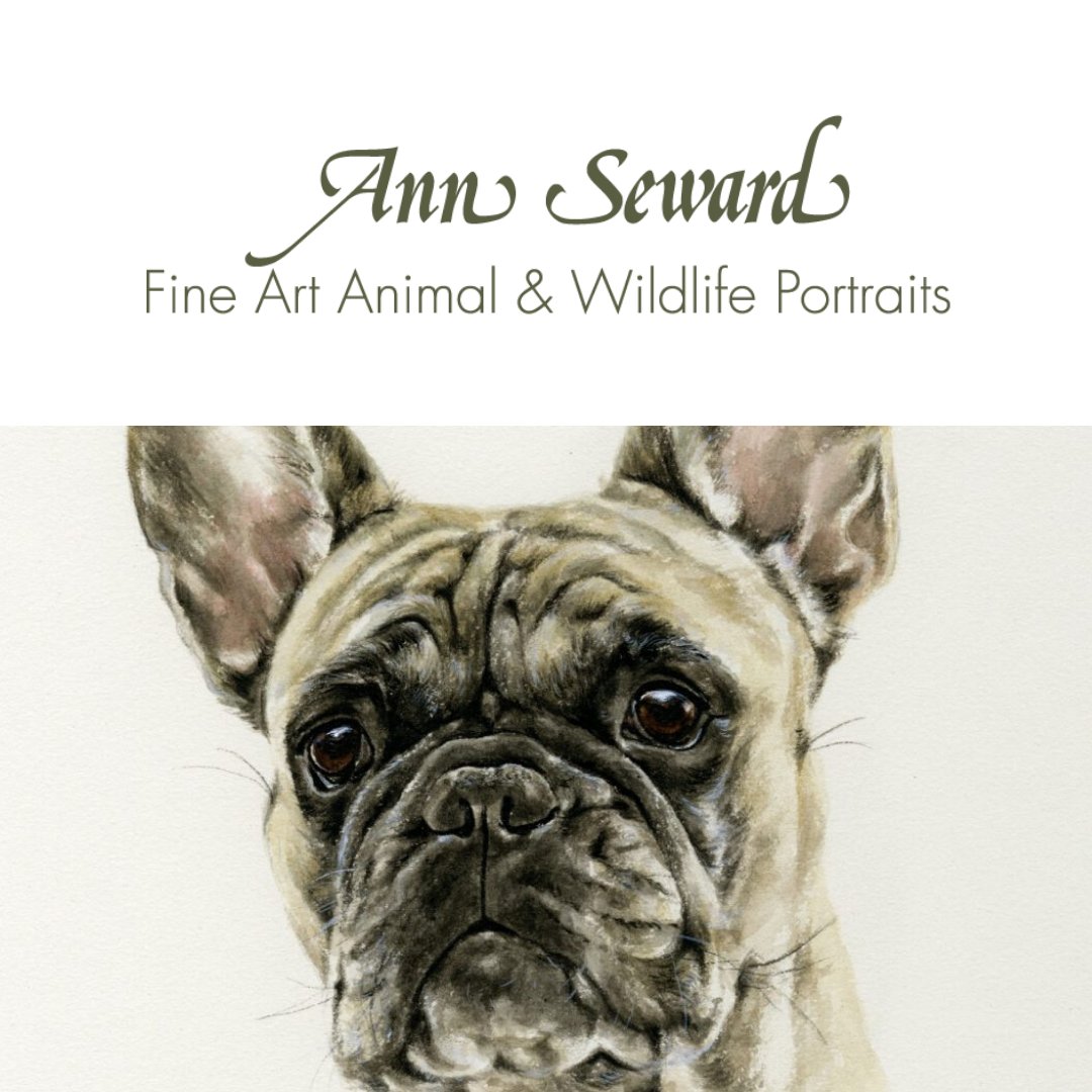 smooth_websites's tweet image. Ann Seward Fine Art Animal &amp;amp; Wildlife Portraits
NEW WEBSITE: soo.nr/uAJ1
-
 #art #creative #painting #illustration #drawing #animalart #instaillustration #animalartist #animalportrait #webdesign