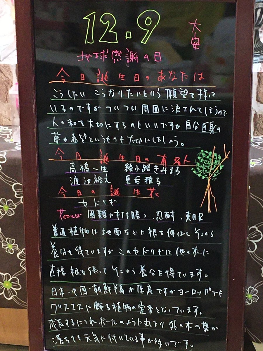 花色舞 Sc店 در توییتر 今日の誕生花は ヤドリギ 宿木 ケルト神話や北欧神話で幸福や幸運をもたらす聖なる木 として縁起の良い植物とされ現代では ヤドリギの下でキスをすれば永遠に幸せになれると風習があり著名な歌や有名な映画にも登場します 花言葉 誕生日