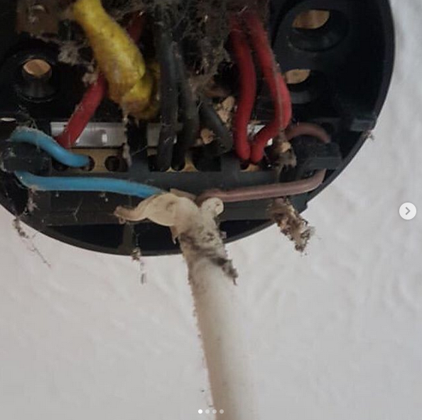 proelectrician's tweet image. Happy monday! Today’s #caughtoncamera was sent in by d.keeping: “Went to assess whether existing wiring was ok to leave in service while new loft was built. Didn&apos;t take long before a rewire was recommended asap.” #professionalelectricianandinstaller #diyfails