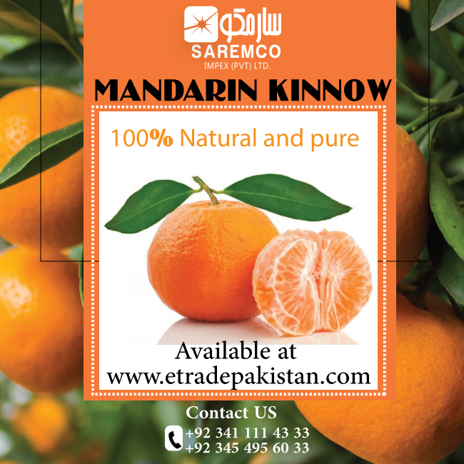 IsabelLeach17's tweet photo. 100% Natural &amp; Pure Citrus Mandarin (Kinnow) Ready to Export from Pakistan
Visit us: https://t.co/r0lDtfiB7I
#etradepakistan #premiumqualityoranges #exportqualityoranges #mandarin #kinnow #freshfruits #citrusfruit #juicyorange #orangesupplier #fruit #citrus #winterfruit #fresh https://t.co/USMF3Gs0dd