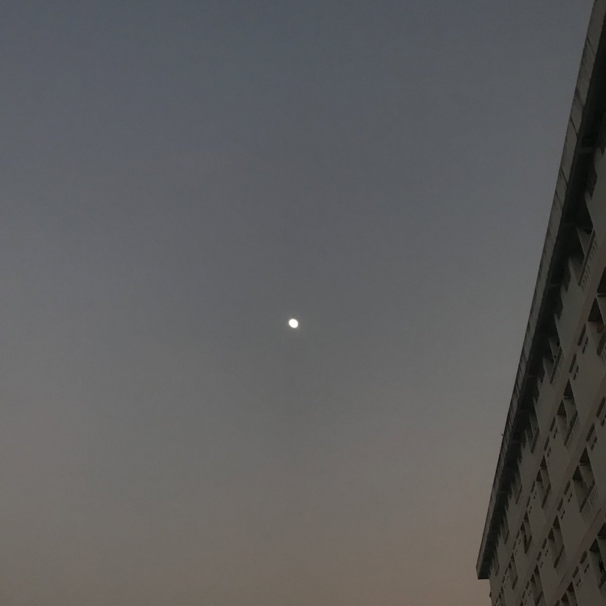 gxtmoons's tweet photo. เจ้าปุ้กปิ้กในหน้าหนาว https://t.co/sWn3eOxyyo