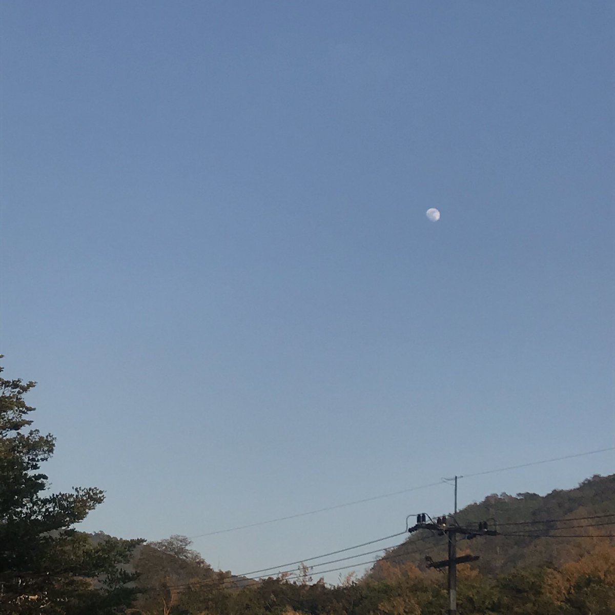 gxtmoons's tweet photo. เจ้าปุ้กปิ้กในหน้าหนาว https://t.co/sWn3eOxyyo