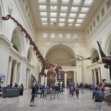 RussellDornan's tweet image. What’s something you say in a museum and that you can also say during sex?