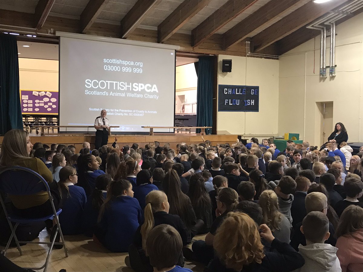 whitdale_ps's tweet photo. The pupils at Whitdale have started the week by learning about how to be #animalaware. Ask us what animal will be extinct by 2025. https://t.co/3dxHgoI9gA